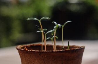 backup seed phrase safely step by step