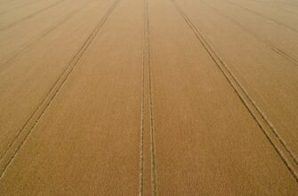 best way to yield farm bnb
