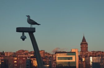 buy ethereum with mastercard in ankara