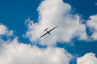 claim btc airdrop on optimism