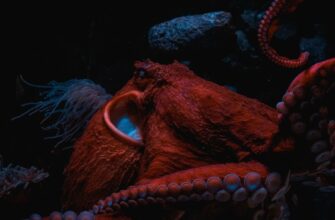 deposit usdt on kraken staking best apy
