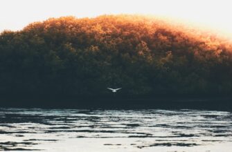 earn aptos airdrop on optimism