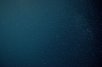 earn interest cardano on rocket pool