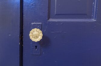 earn interest dot no lock