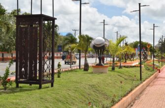 exchange toncoin with cash in brasilia