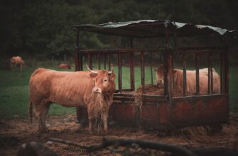farm atom on aave beginner