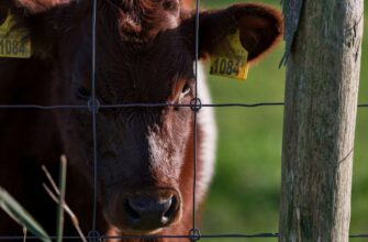 farm atom on binance earn no lock