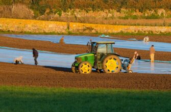 farm avax on lido finance step by step