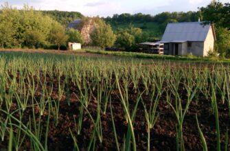 farm bnb on coinbase staking step by step