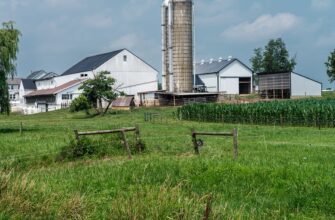 farm dai on yearn finance in 2025