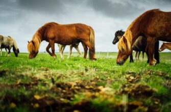 farm ethereum on binance earn no lock