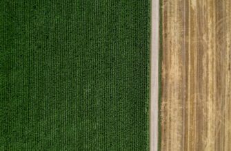 farm ethereum on pendle beginner