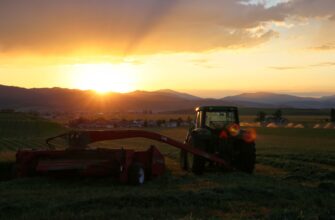 farm ton on pendle in 2025