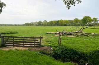 farm usdc on aave no lock