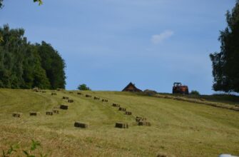 farm usdt on pendle