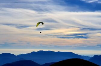 free aptos airdrop on optimism