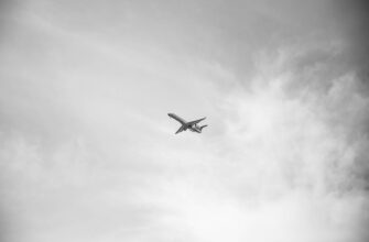 free avax airdrop in uk