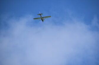 free avax airdrop on layerzero