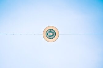 free dot airdrop in argentina