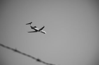 free ethereum airdrop on starknet