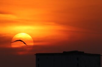 free sol airdrop in india