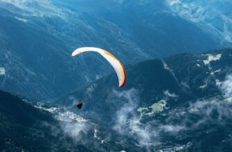 free zk airdrop on optimism