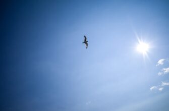get sol airdrop on starknet