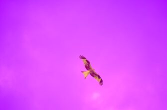 get solana airdrop on binance