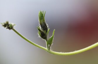 guard seed phrase air gapped for beginners