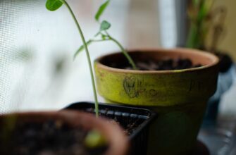 guard seed phrase safely best practices
