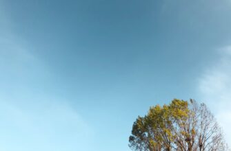 how to collect ton airdrop massive