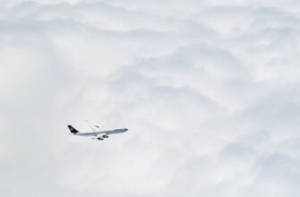 how to free arb airdrop upcoming 2025