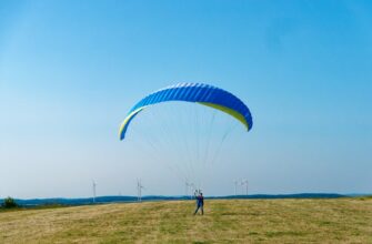 how to free sui airdrop massive