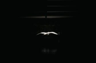 how to get ethereum airdrop step by step