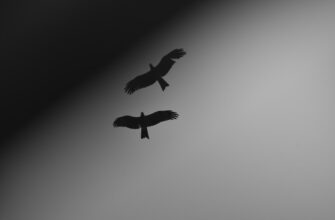 how to qualify for eth airdrop no kyc