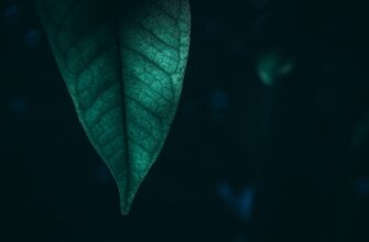 how to receive ethereum airdrop for beginners