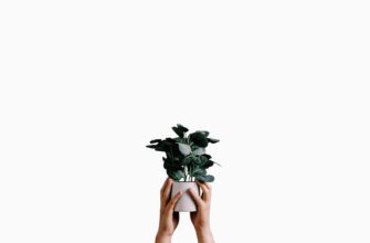 is it safe to backup seed phrase anonymously
