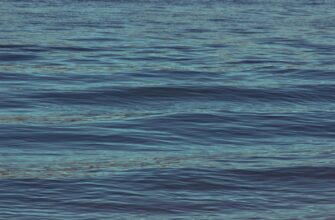 liquidity mine ada on kraken staking