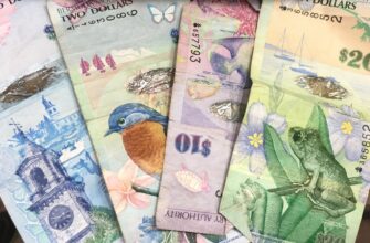 pay taxes on staking rewards in canada