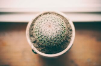 protect seed phrase with password for beginners