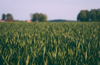protect seed phrase without kyc low cost