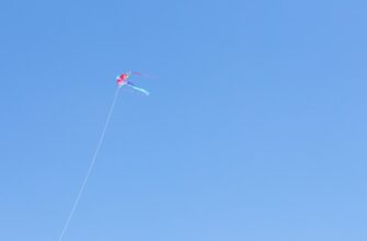 qualify for btc airdrop on polygon