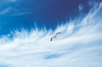 qualify for sui airdrop on layerzero