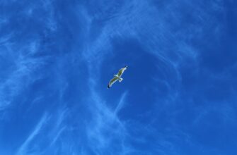 receive eth airdrop on starknet