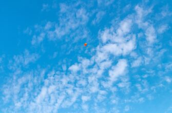 receive solana airdrop on optimism