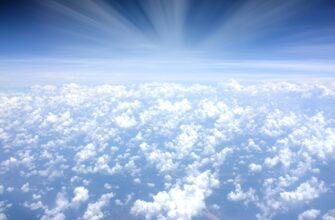 receive ton airdrop on arbitrum