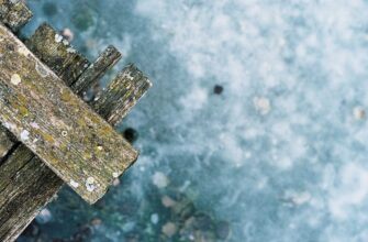 recover ledger in cold storage for beginners