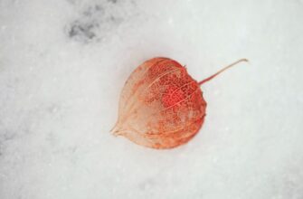 secure seed phrase in cold storage for beginners