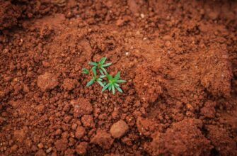 secure seed phrase safely step by step