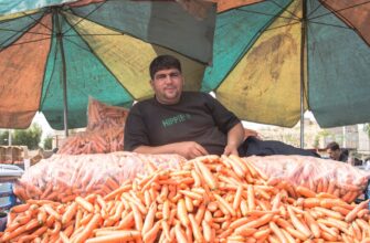 sell toncoin via p2p in islamabad